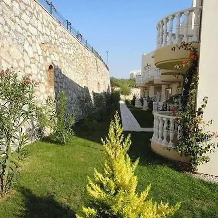 Turquoise * 博阿齐奇