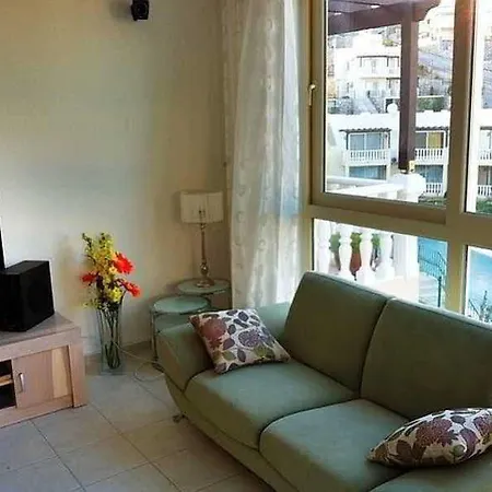 Turquoise 博阿齐奇