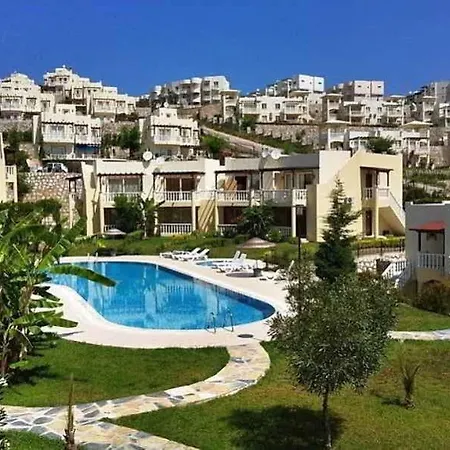 Turquoise 博阿齐奇